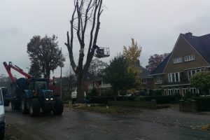 Groenwerk Huijgenslaan Arnhem | Hooijer Renkum